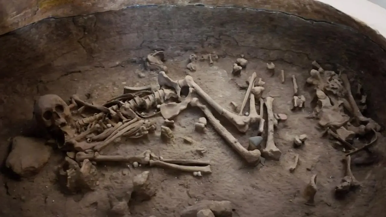Carpignano Salentino, Lecce. Museo Archeologico